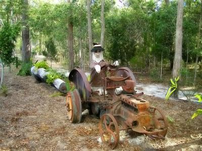 Tractor ManResized.jpg
