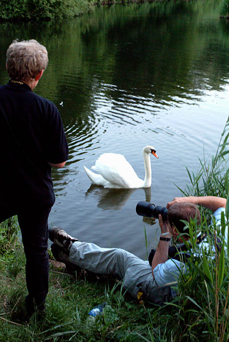 DSCF4251.jpg