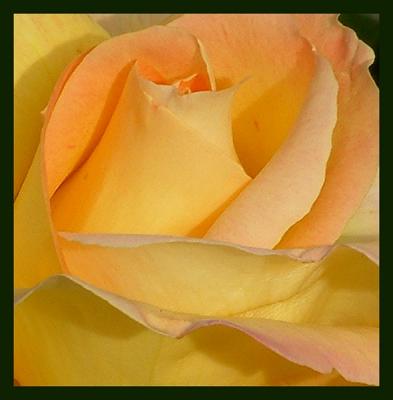 Inner Beauty