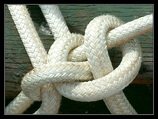 Knot