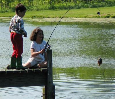 u29/jbohland/medium/17172227.Bluegill.jpg