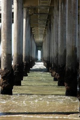 Under the Pier #1