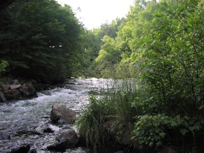 Mountain Fork Little River