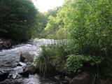 Mountains Fork Little River