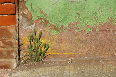 IMG_6838usm.jpg