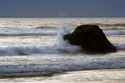 IMG_6008_filteredusm.jpg