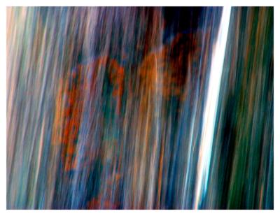 Seeing Things