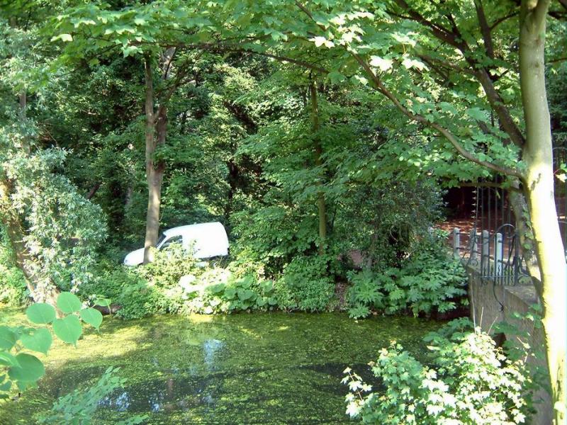 DSCF9370.JPG