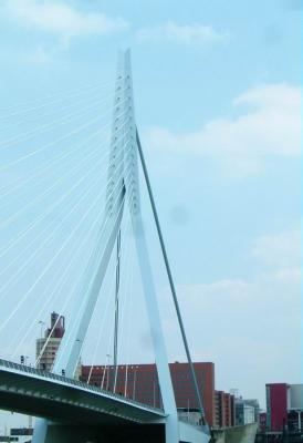 Pyllon of Erasmus bridge in its full glory, 120 m high