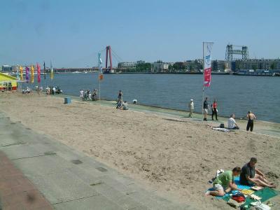 An artificial 'beach' is made alongside Boompjes promenade