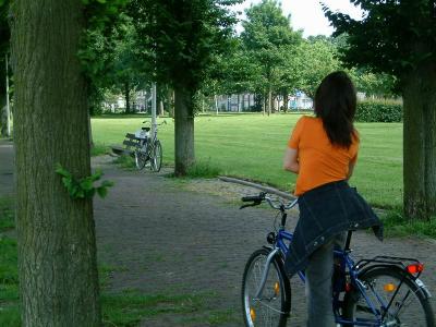 A park in Katendrecht