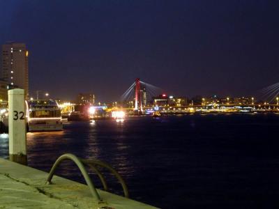 View on Maas river. Willems bridge in the back