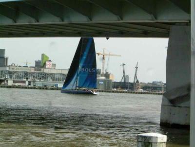 Sailing boat could not pass Erasmus bridge