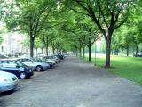 DSCF9343.JPG