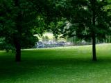 DSCF9350.JPG
