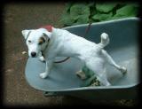 DSCF9358.JPG