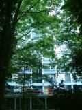 DSCF9365.JPG