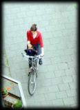DSCF0176a.jpg