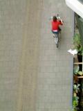 DSCF0177.jpg