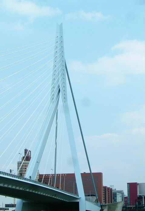 DSCF9341.JPG