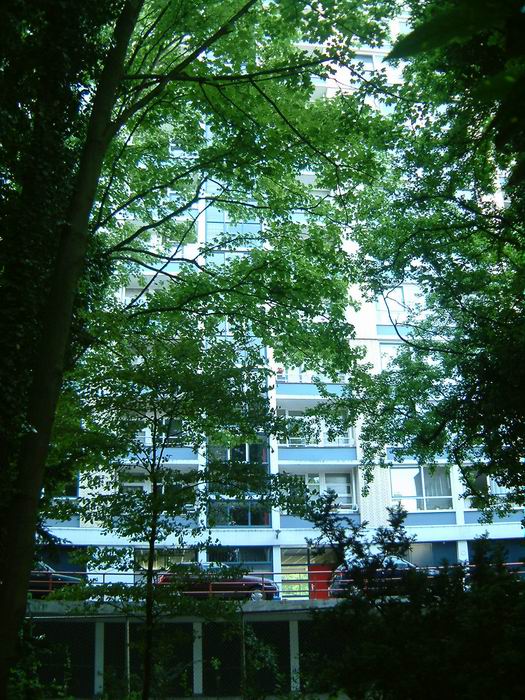 DSCF9365.JPG