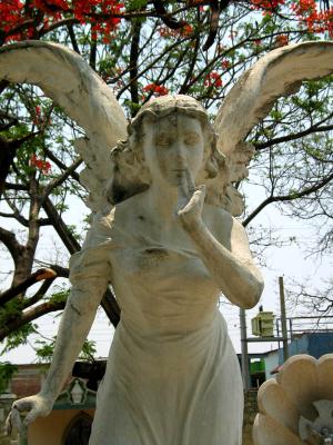 cemetery :: angel