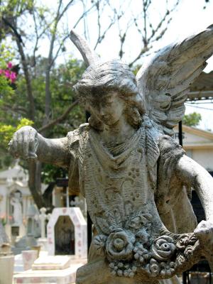 cemetery :: angel2