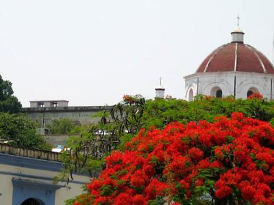 basilica