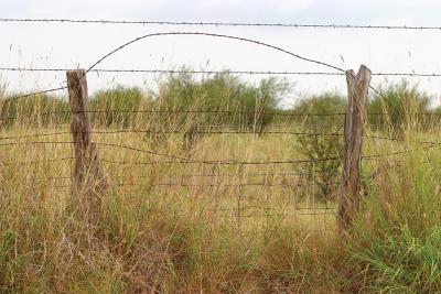 Jump-Rope-Posts