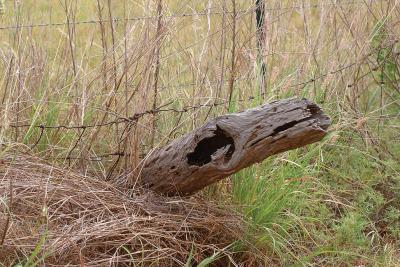Hollow-Post