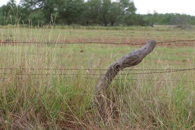Owl-Post
