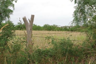 Sling-Shot-With-Sight-Post