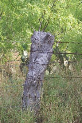 Foot-Print-Post