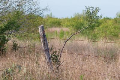 Hinge-Post