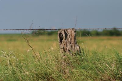 All-Thats-Left-Post