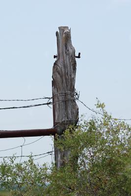 Bolt-Head-Post