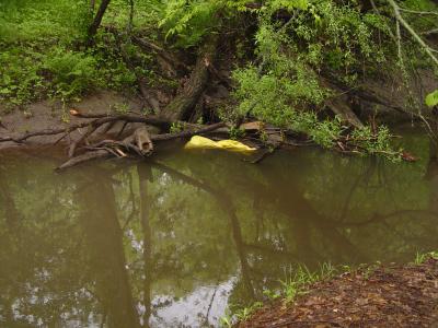 Fishing 010.jpg