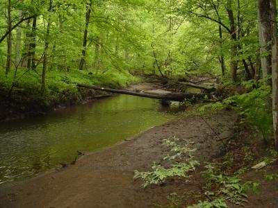 Fishing 011.jpg