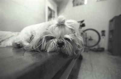 BW1_33.jpg