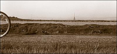 fs21338.jpg