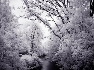 infrared_pics