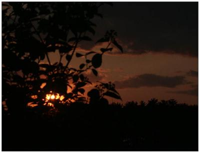 PICT4204w.jpg