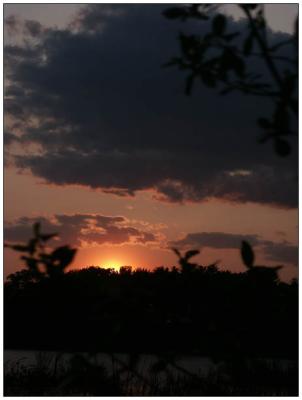 Sunset Walk in Cutler Park