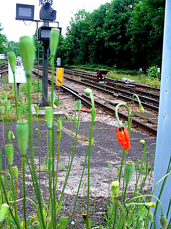 trains - dont you just love them?