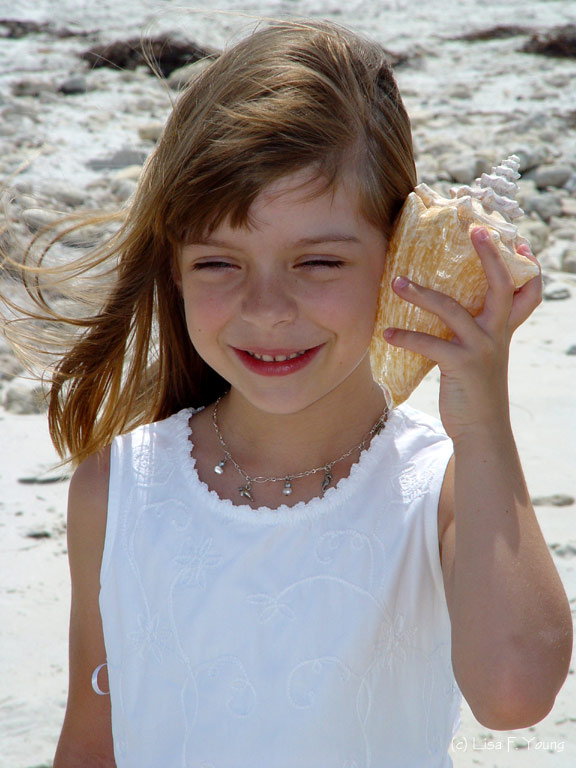 DSC01486-wb.jpg