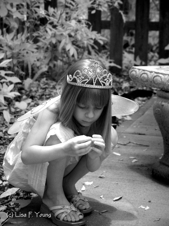 Fairy-IR2 wb (2).jpg