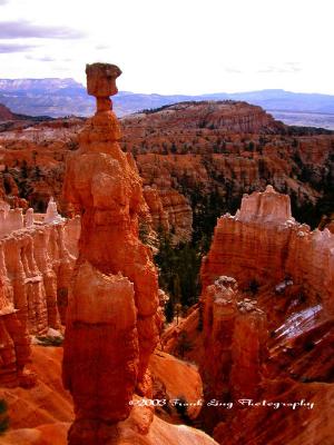 Bryce Canyon-1