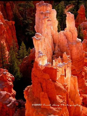 Bryce Canyon-2