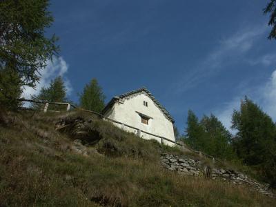 Peaceful House