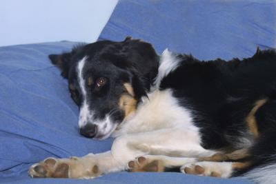 Ahh Nice pillow, know wonder she uses them!